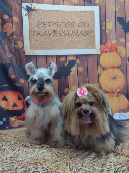 Foto 1 Pet shop Patrulha Canina