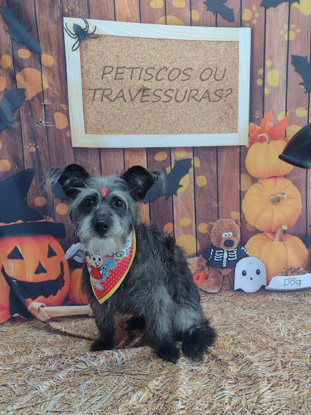 Foto 5 Pet shop Patrulha Canina