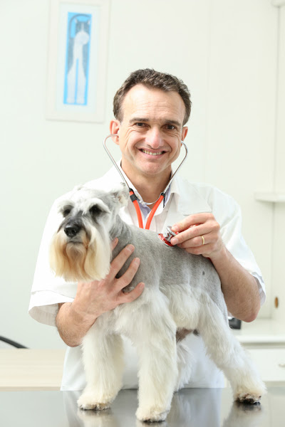 Foto 3 Arca de Noé Clínica Veterinária