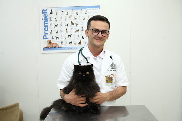 Foto 4 Arca de Noé Clínica Veterinária