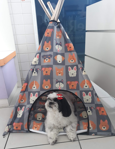 Foto 5 Arca de Noé Clínica Veterinária