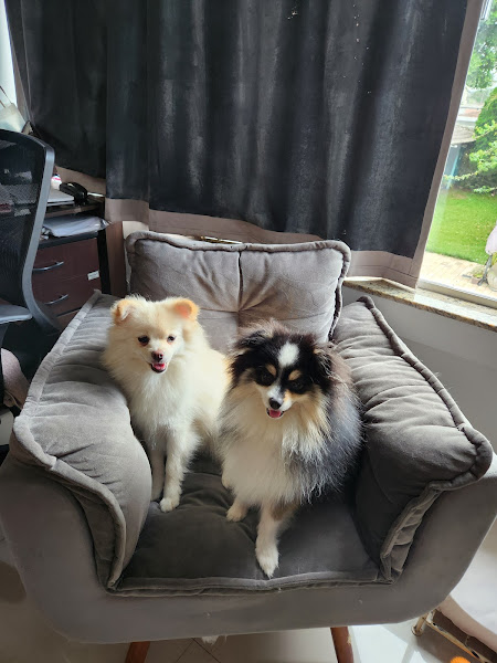 Foto 3 Clínica Veterinária Magia Animal