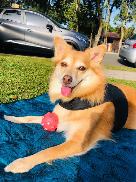 Foto 1 Clínica 29 de Março