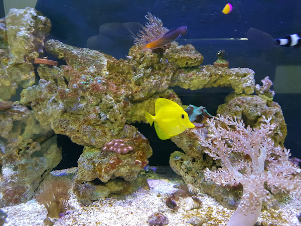 Foto 3 Dentista Curitiba - Clinica Odonto XIS! - Vila Hauer