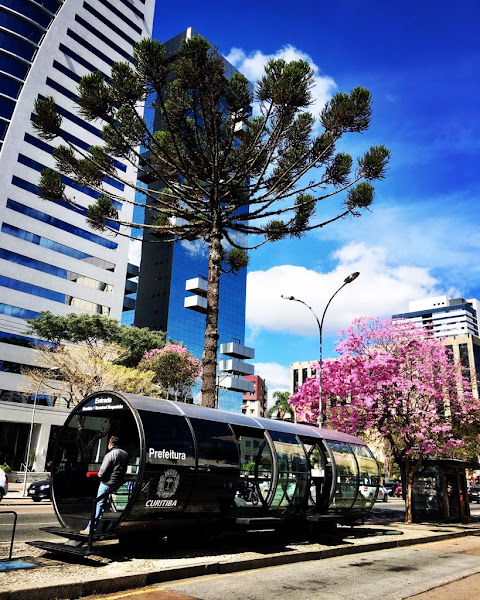 Anelise Fengler - Ortodontista - PR