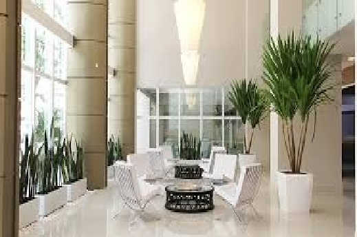 Foto 2 Odontologia Barreto