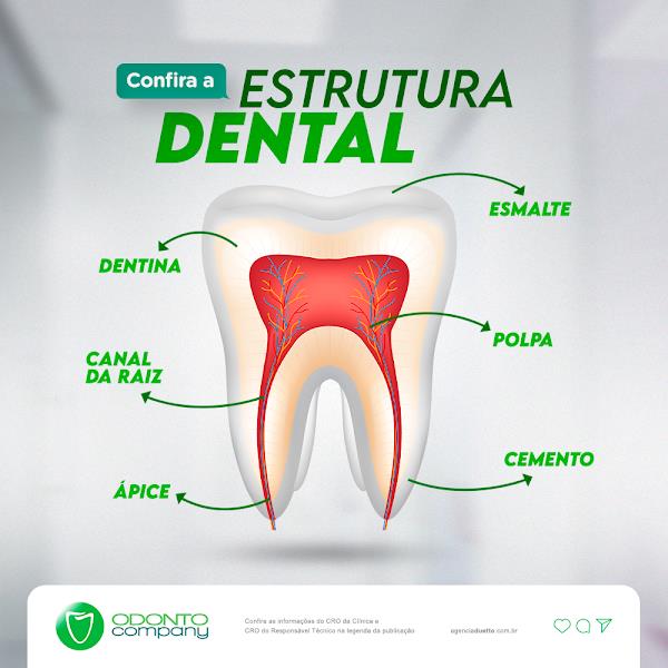 Foto 3 OdontoCompany Curitiba Barreirinha