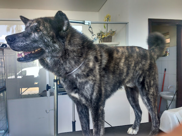 Foto 4 Shopping Umbará