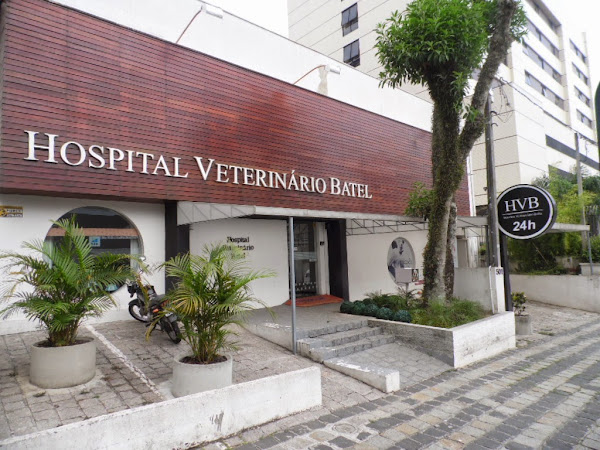 Hospital Veterinário Batel