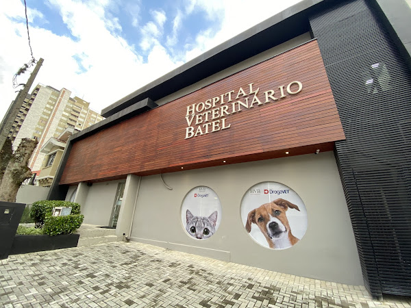 Foto 1 Hospital Veterinário Batel