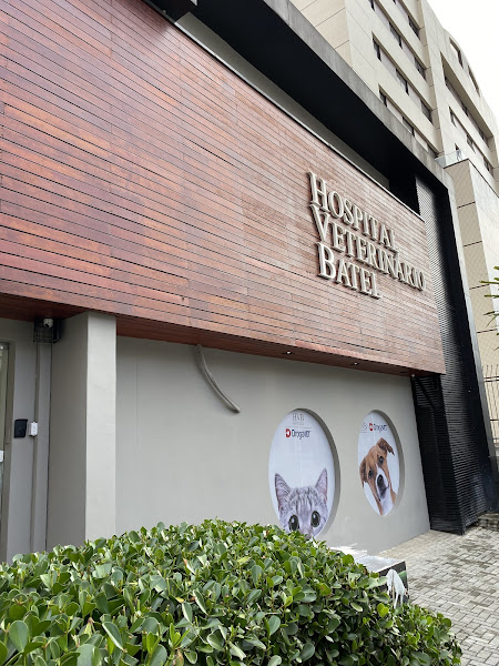 Foto 2 Hospital Veterinário Batel