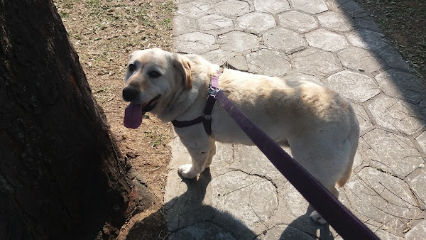 Foto 4 Garra Hospital Veterinário