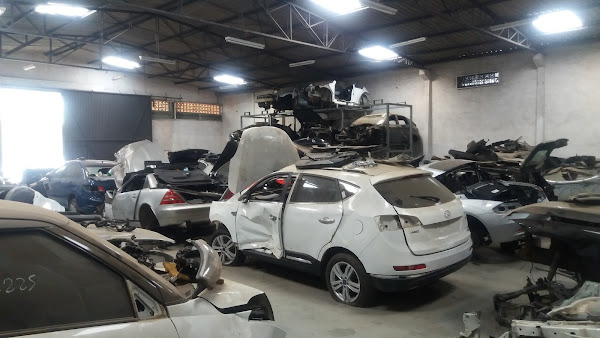 Foto 2 rodrigo zrd auto peças