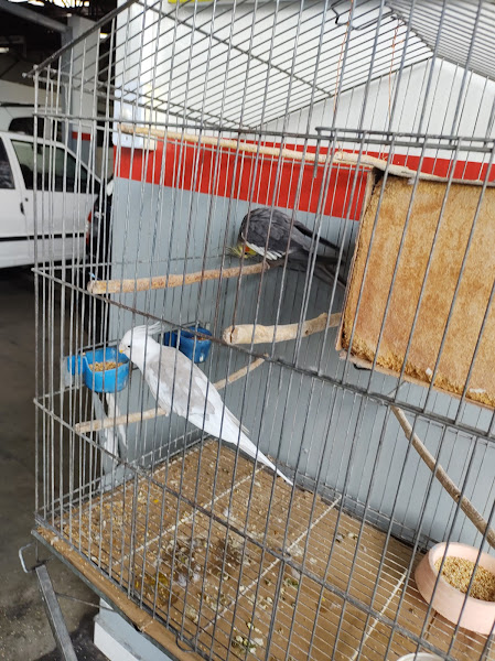 Foto 1 Pampavel Auto Mecânica e Escapamentos Ltda