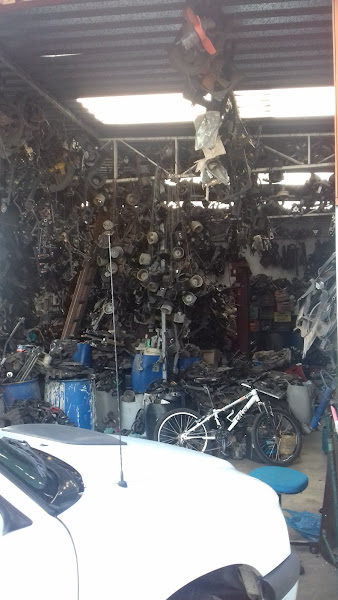 Foto 2 Auto Elétrica Dalibra