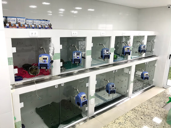 Foto 2 Hospital Veterinário Santa Quitéria