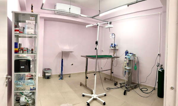 Snow Vet Clínica Veterinária em Curitiba