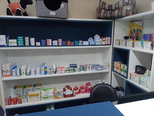 Foto 4 Snow Vet Clínica Veterinária em Curitiba