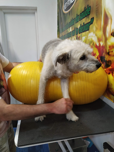 Centro Paranaense de Medicina Veterinária