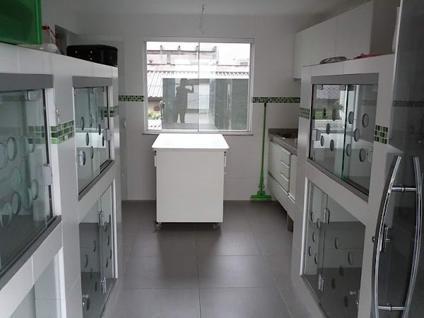 Foto 2 Clínica Veterinária Bairro Alto