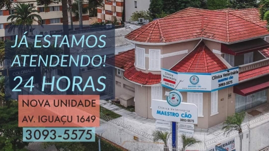 Clínica Veterinária Maestro Cão - Unidade 24h