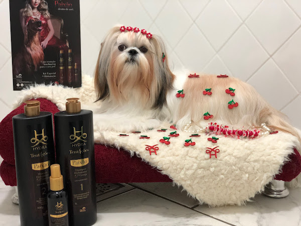 Foto 2 Clínica Veterinária Santa Catarina