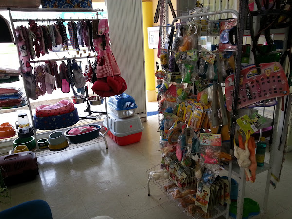 Foto 2 Clínica Veterinária Torres