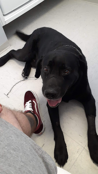 Foto 2 UNISA - Unidade de Saúde Animal