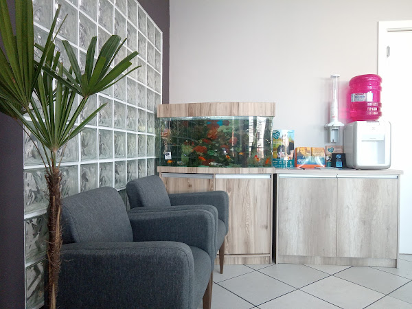 VETERINÁRIA SCHNAUZER?? Consultório Veterinário em Curitiba