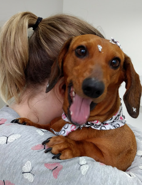 Foto 1 Vetsan Centro Medico Veterinario 24 horas