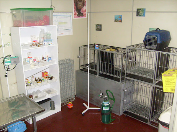 Foto 2 Clínica Veterinária Doctorvet e Pet Shop