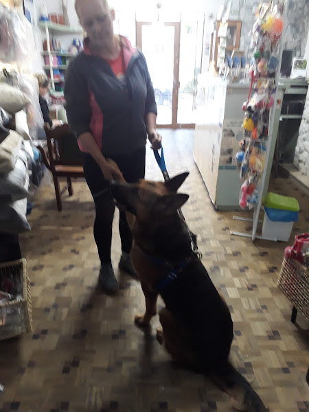 Foto 3 Clínica Veterinária Doctorvet e Pet Shop