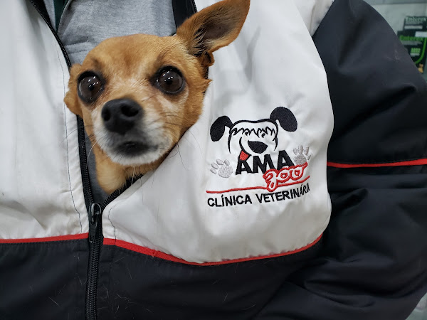 Foto 1 Ama Zoo Clinica Veterinária