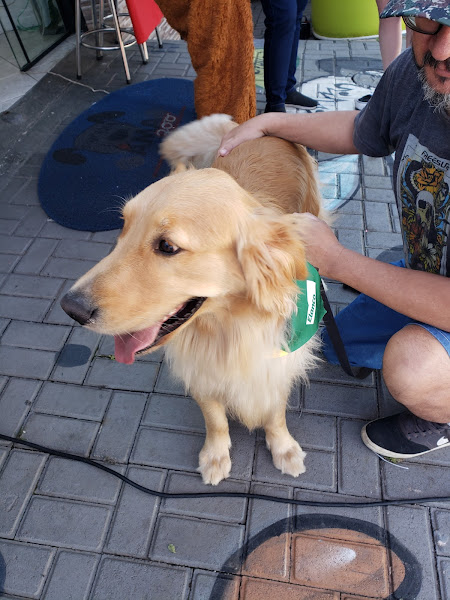 Foto 2 Ama Zoo Clinica Veterinária