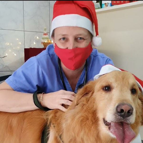 Foto 3 Ama Zoo Clinica Veterinária