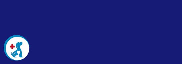 Clínica Veterinária Silvestre