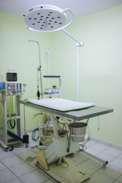 Foto 5 Clínica Veterinária Pedigree