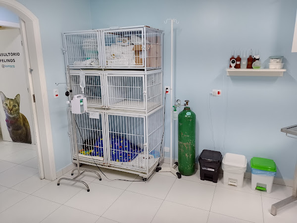Foto 3 FONTANA Clínica Veterinária