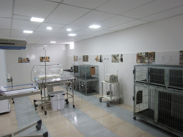Foto 2 Clínica Veterinária LA Vet | Sítio Cercado