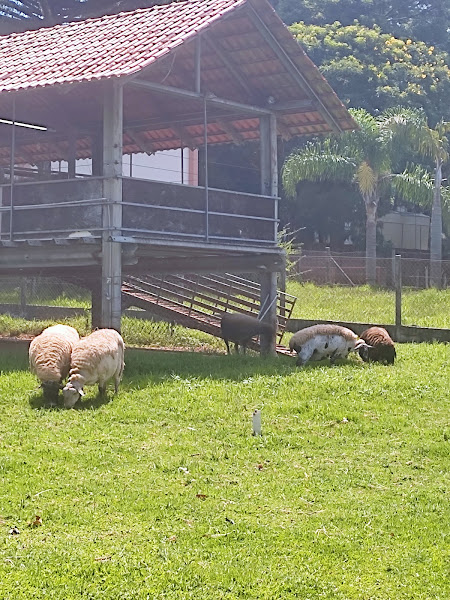 Foto 2 Hospital Veterinário UFPR