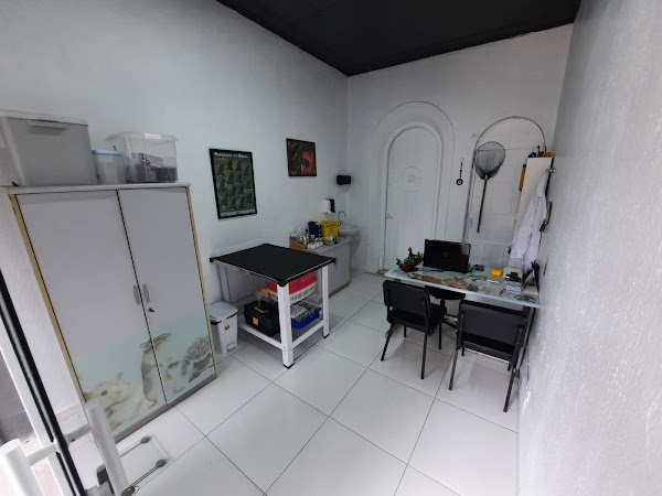 Foto 1 DM Clínica Veterinária