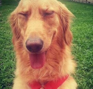 Foto 5 HVA - Clínica Veterinária