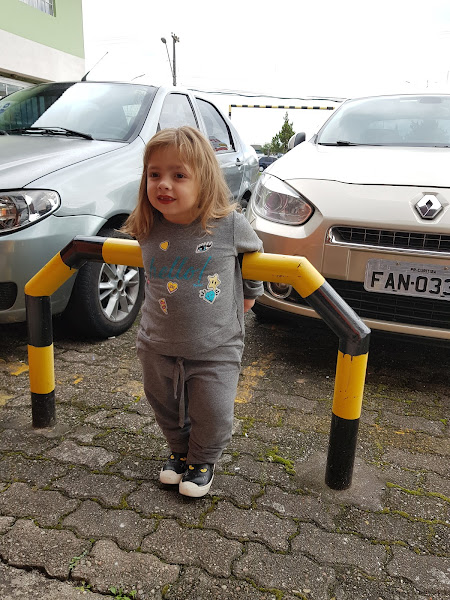 FelisCão Clínica Veterinária