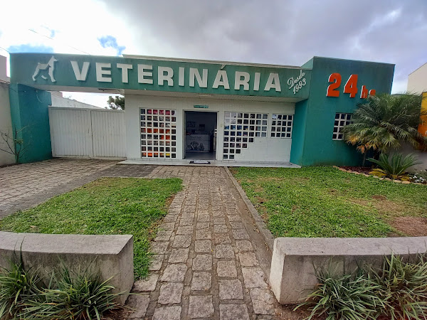 Dog Vet