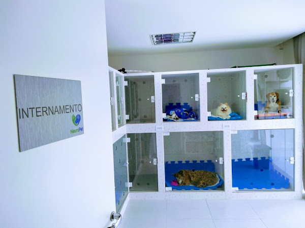 Foto 2 NeuroPet Clínica Veterinária