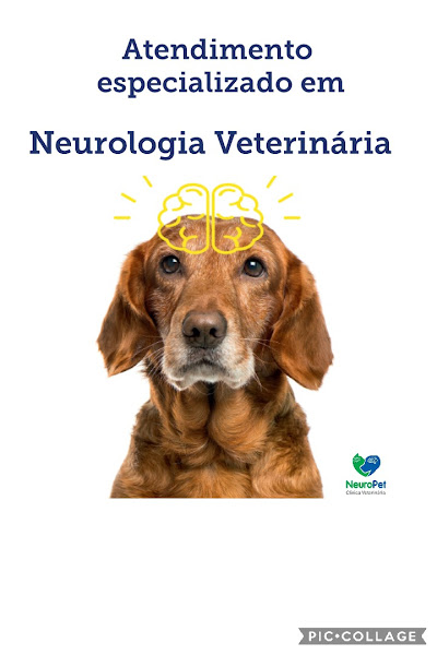 Foto 6 NeuroPet Clínica Veterinária