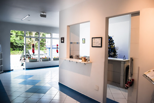 DermaVet for pets - Dermatologia Veterinária