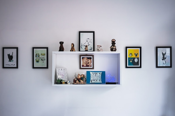 Foto 1 DermaVet for pets - Dermatologia Veterinária