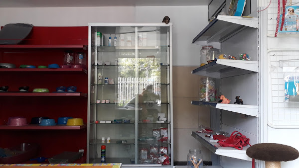 Foto 2 Vitalle Clínica Veterinária