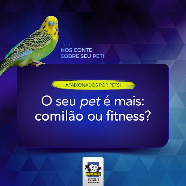 Foto 1 Vida Livre Medicina de Animais Selvagens